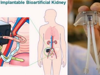 cura insuficiencia renal