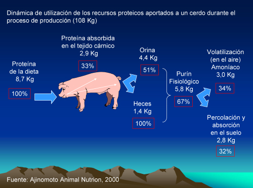 frenar contaminación porcina