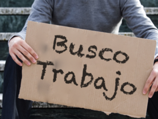 pierden 8000 empleos
